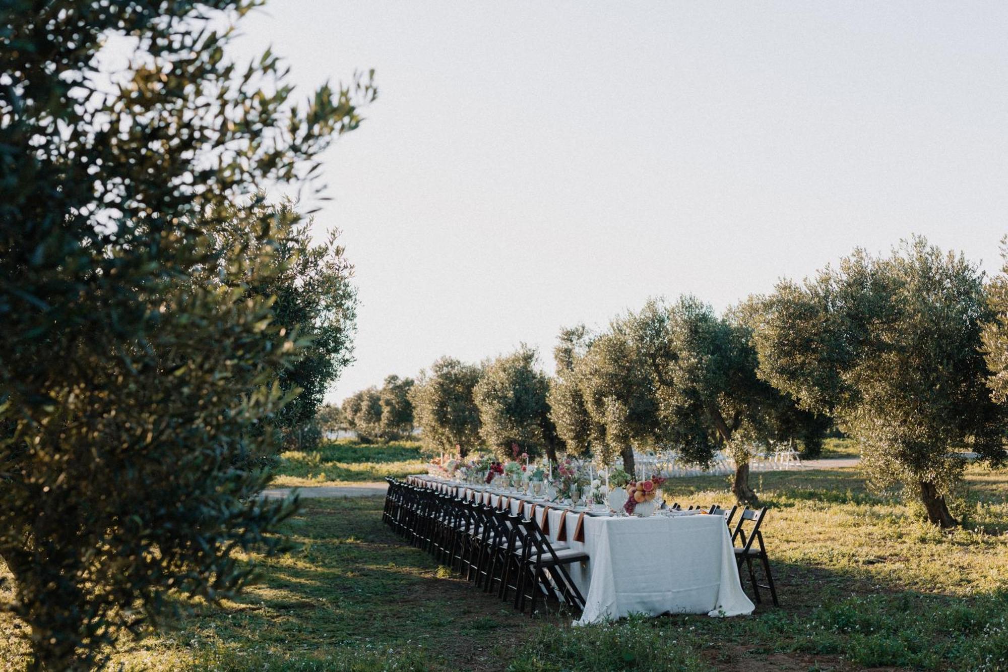 Finca La Concertista Llorenç del Penedes Kültér fotó